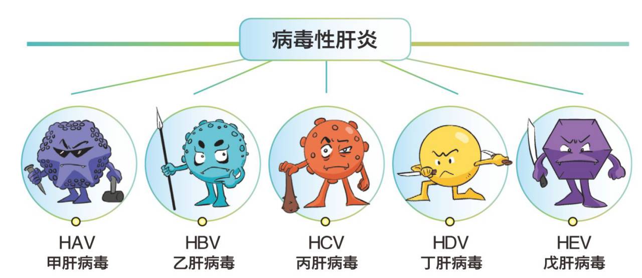 丁肝為什麼沒有疫苗？