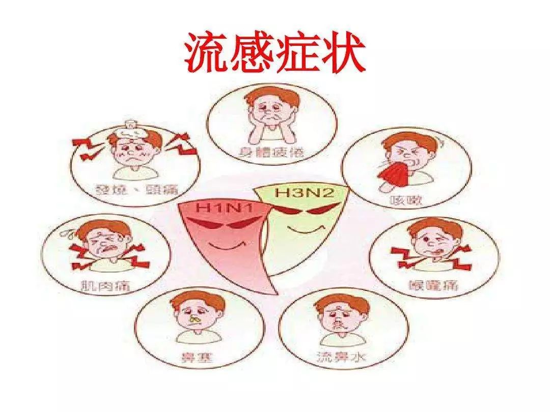 怎麼判斷是不是流感?