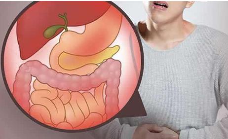 為什麼胃腸道健康這麼重要?