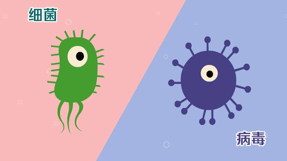 怎樣區別病毒性感冒和細菌性感冒？