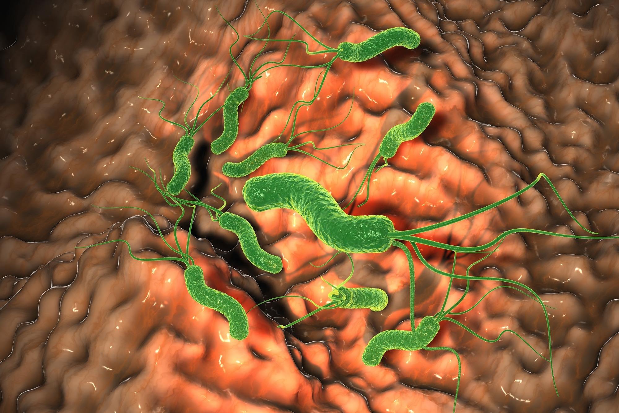 幽門螺桿菌對我們的身體有什麼危害？