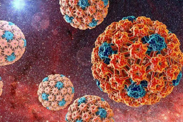 HPV感染有哪些危害？可引起多種癌症發生！