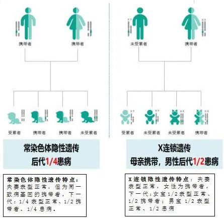 隱性遺傳病是如何遺傳給後代的？從根源上降低寶寶患上遺傳病的風險