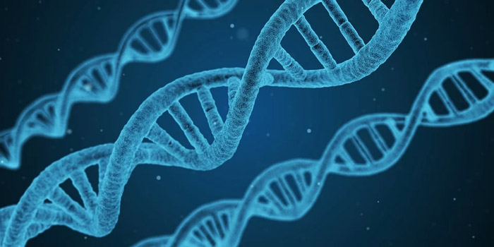 什麼是DNA基因檢測？