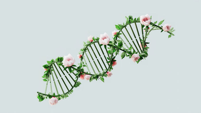 肥厚型心肌病為什麼要做基因檢測?