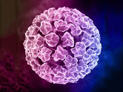 HPV病毒真的很可怕嗎？