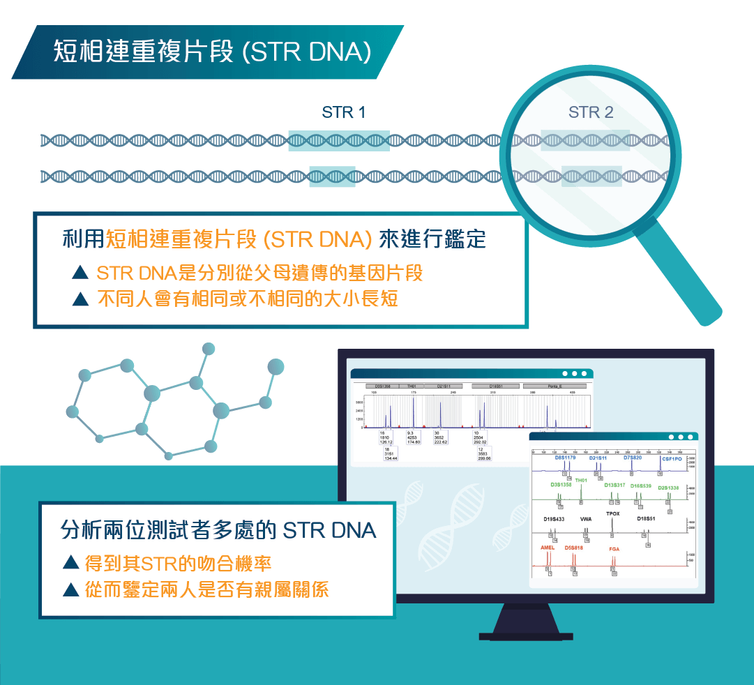 親屬鑒定測試方法STR