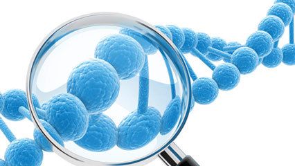 無創基因檢測能檢測哪些疾病？